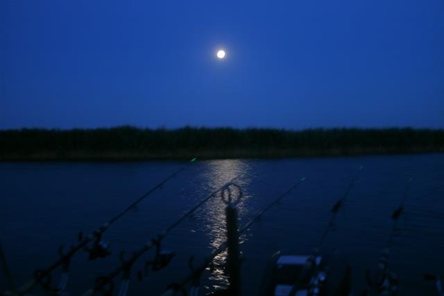 Doar ... NATURA  - 2 - gedc0337.JPG